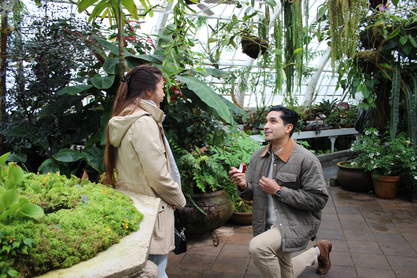 Juan Pablo on one knee holding an open ring box for Trinique inside the Conservatory of Flowers
